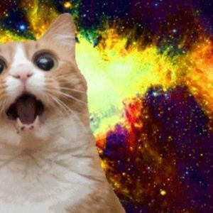 Meet your Posher, Serdna